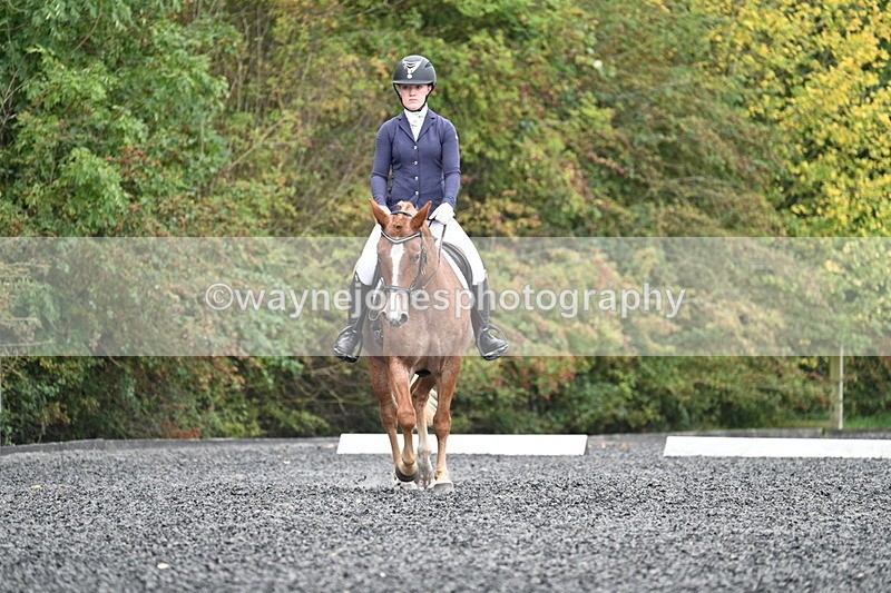 WJ7_3328 - Time 09:54 to 10:54