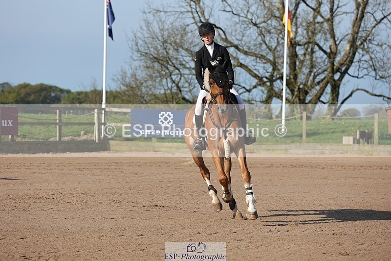 250427-082930-14488 - Cls 28 Young Horse 5yr old