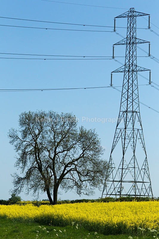 1KJS3132 - United Kindom