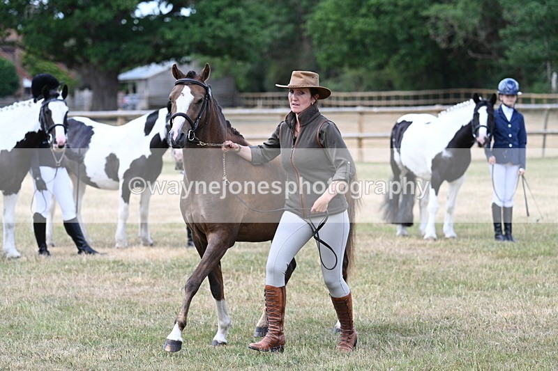WJ7_1552 - Class 4 Prettiest Mare up to 14.2hh in hand