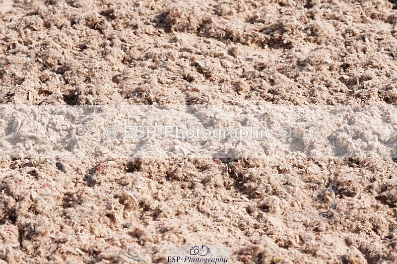 250523-162854-02829 - Cls 07 1.00m Speed Derby