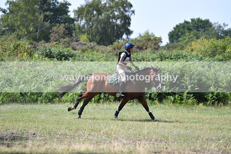 WJ5_2890 - XC Time 12:35 to 12:59