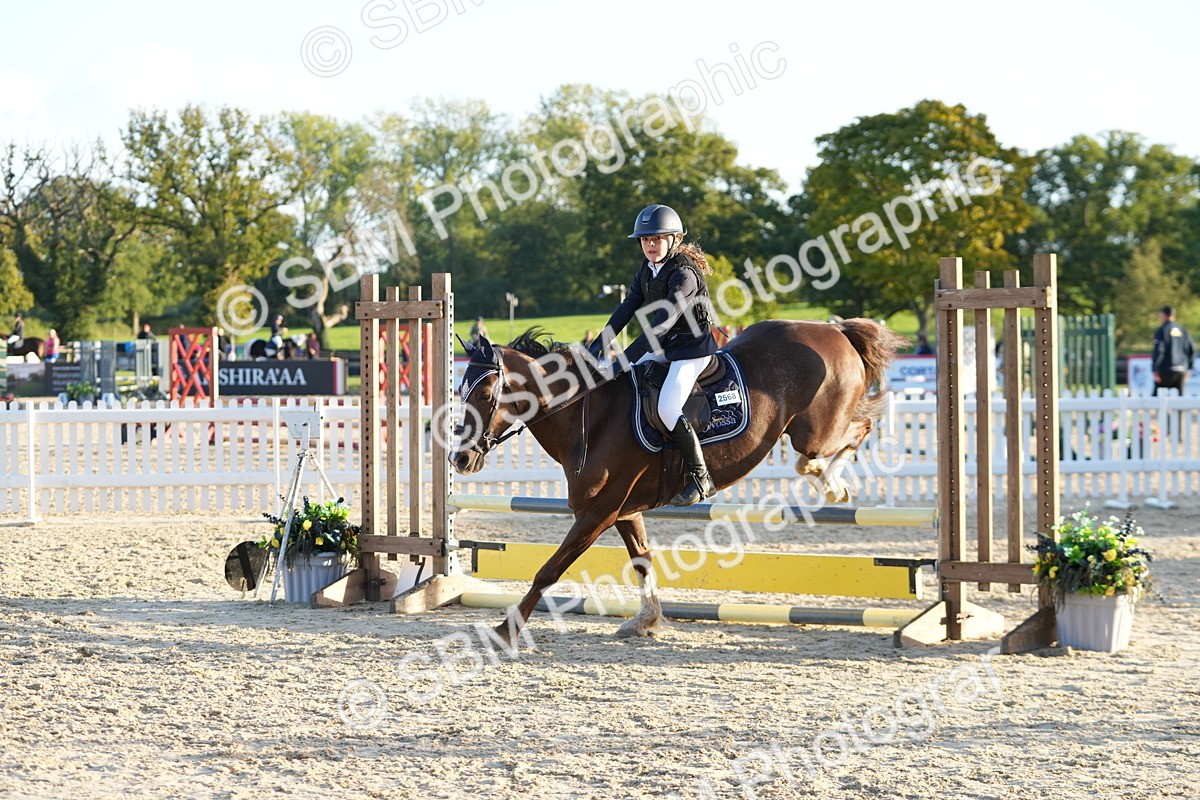 SBM_54142 - Supreme Championship 60cm 65cm