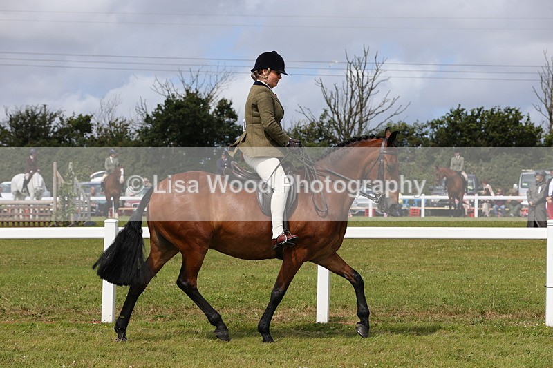 1X9A3978 - Class 32: Show Hunter Pony 153cm and under