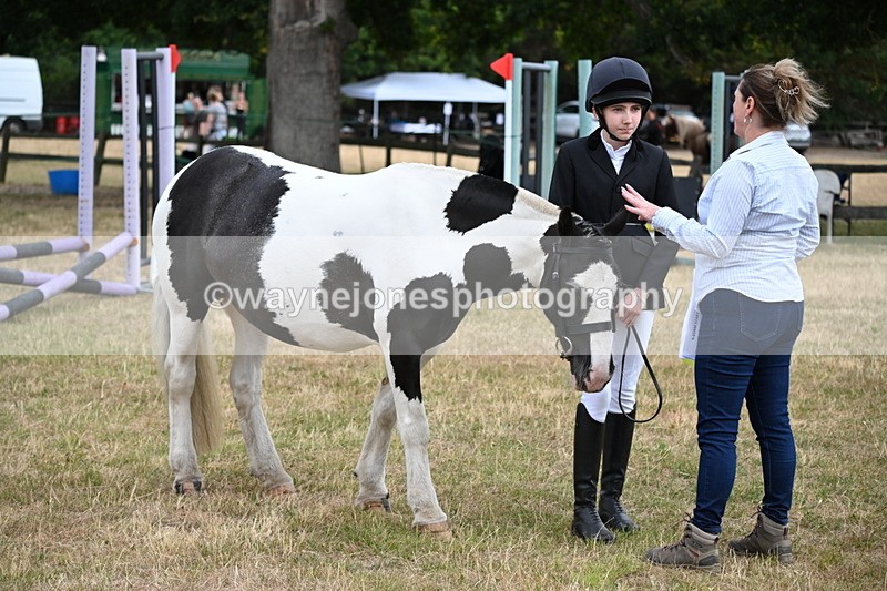 WJ6_4195 - Class 10 Coloured In-hand