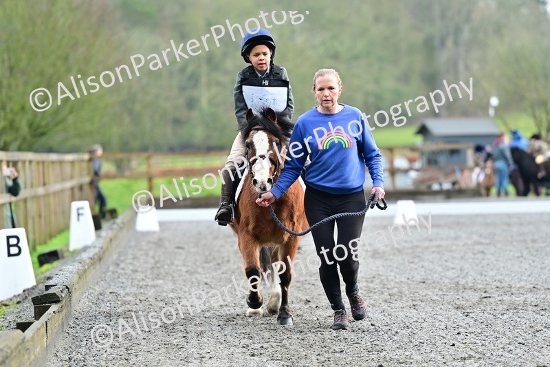 20260125-0960 - Class 9a - Walk Trot Assisted