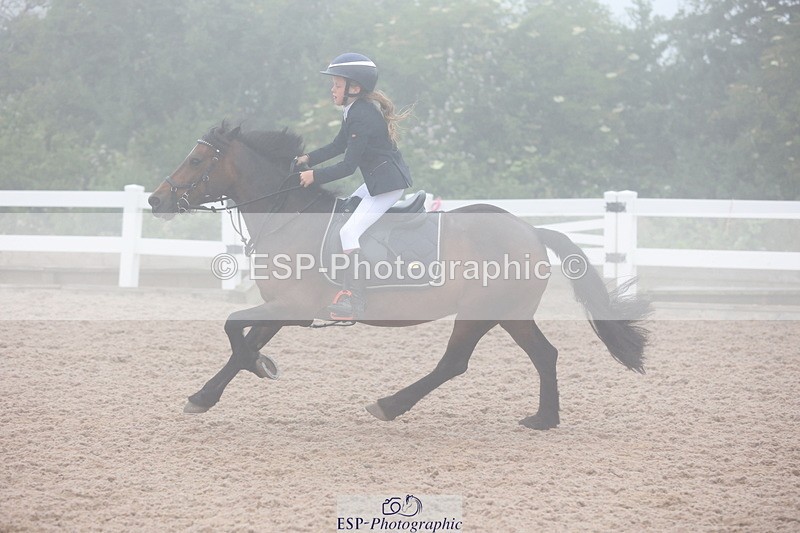 240630A-081735-11151 - Cls 30 British Novice and 80cm Open