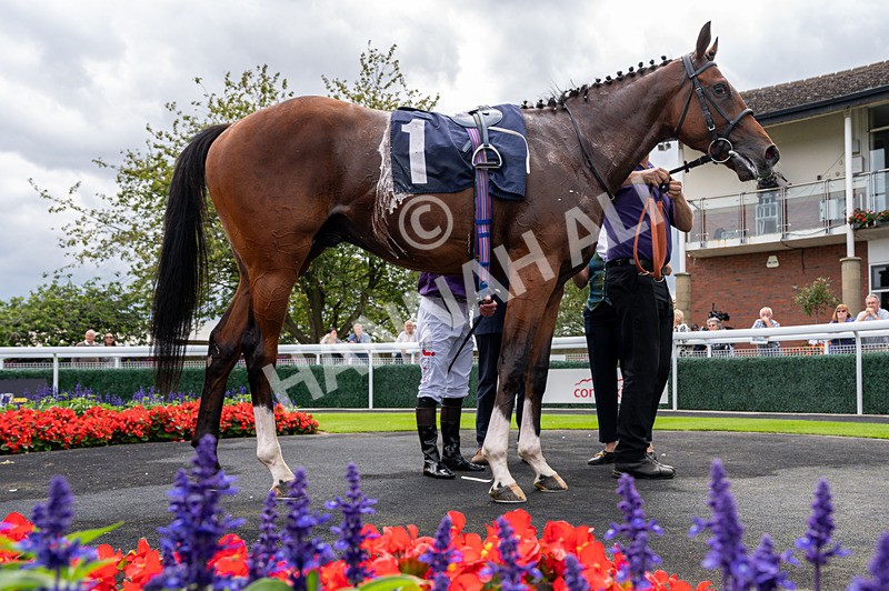 290725-Race 3-Ancient Egypt-7073