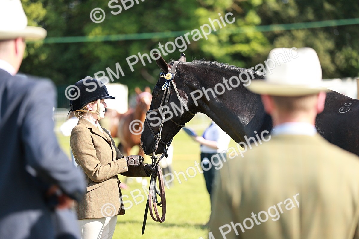 SBM_19290 - Class 115-116 - LIHS BSHA Rising Star Working Hunter & Show Horse