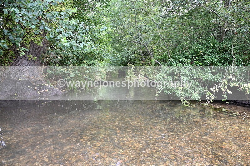 WJ7_9665 - Group 7