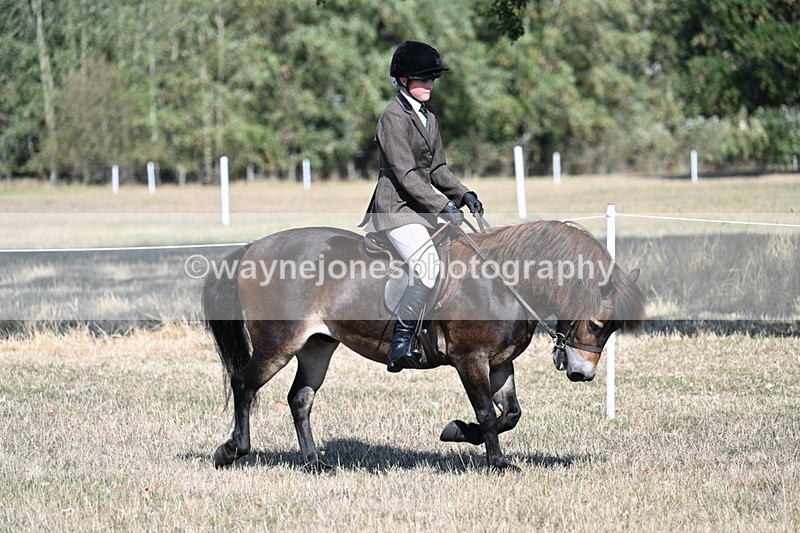 WJ7_3476 - Class 9 Mountain & Moorland Ridden