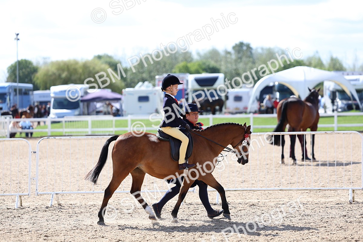 SBM_13038 - Class 309 - Lead Rein Pony