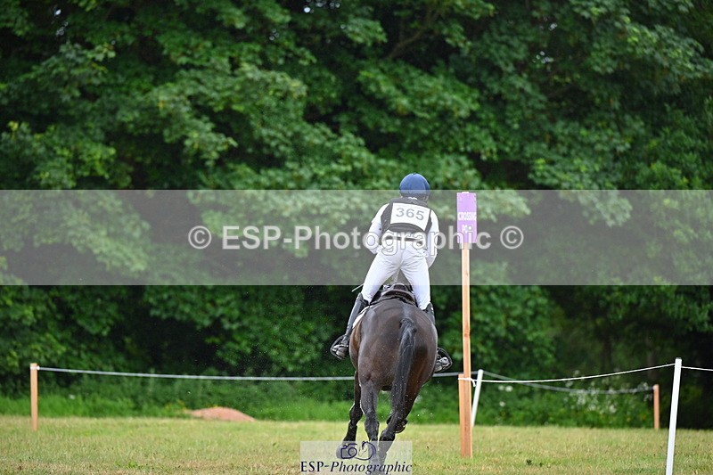 250524A-131013-10811 - B-365-Tom.McEwen-MAESTRO