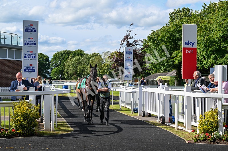 160624-Race 4-Align The Stars-8584 - Race 4