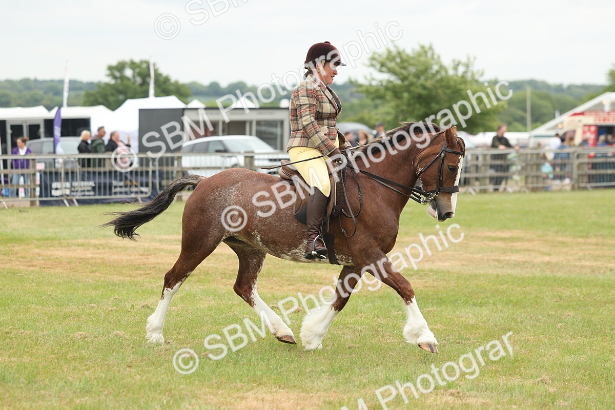 SBM_07199 - Class 76-77 - Ridden M&M Welsh Ponies