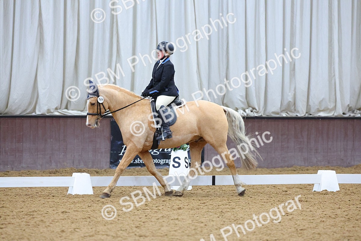 SBM_000898 - Novice
