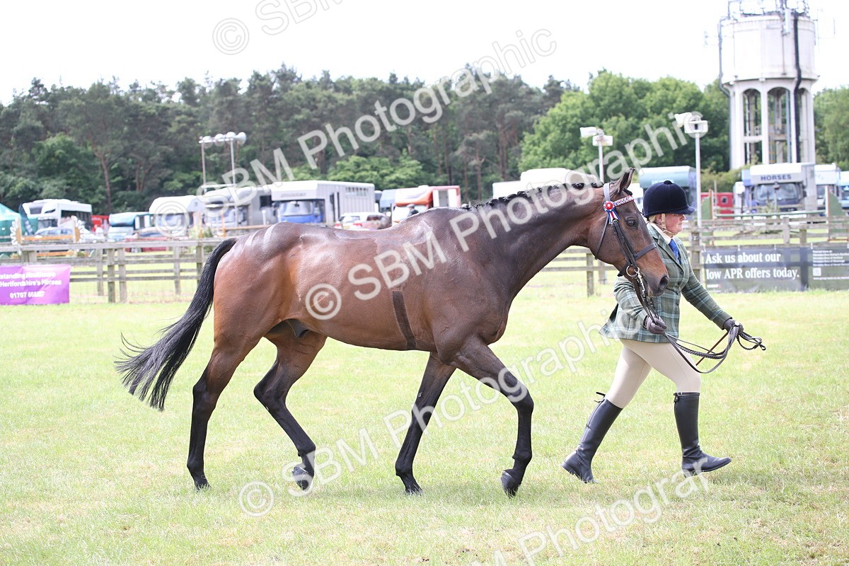 SBM_14239 - Class 113-114 - Retraining of Racehorses Ridden