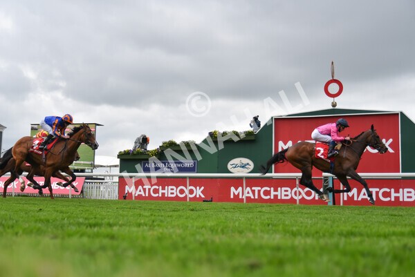 yr14052021r4-29 - Race 4 3.10pm The Matchbook Yorkshire Cup