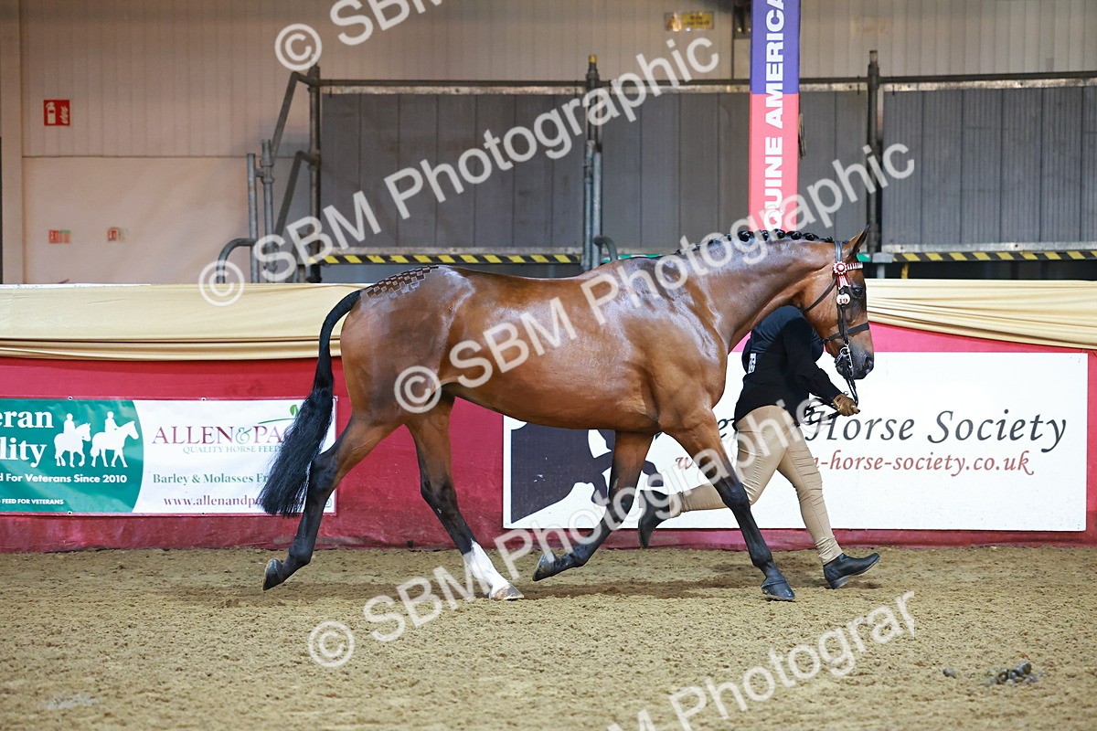 SBM_14802 - Class E - Best Turned Out Champ