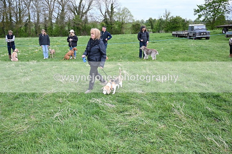 WJ6_8144 - Class 2 Best Pedigree