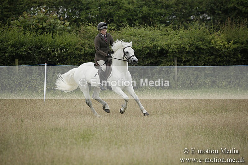 B230619-0104 - Bourne Valley Riding Club Summer Show 23/06/19