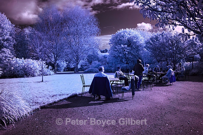 Afternoon tea, Heligan. - Infrared images
