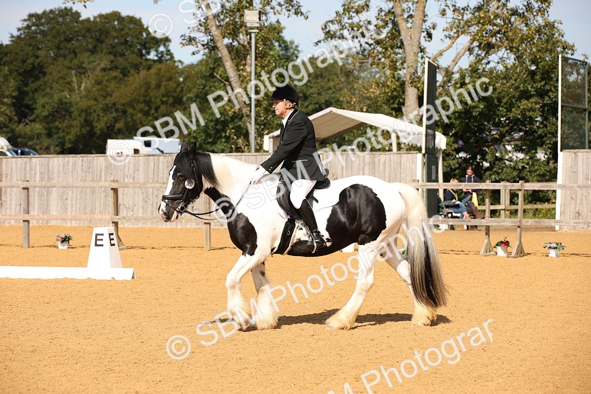 SBM_21847 - D5 - Small Tour Championship - Intro C