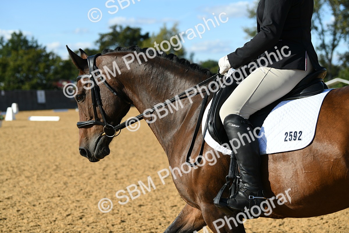 SBM_28398 - D16 - Small Tour Championship - Novice 28