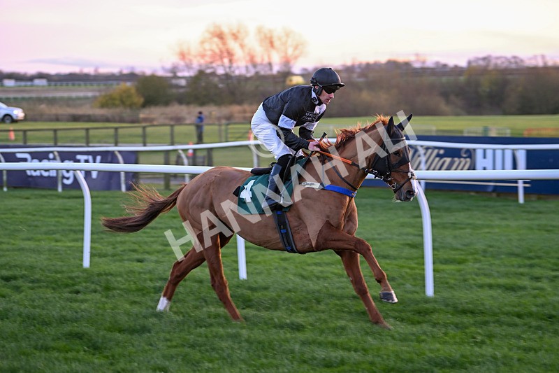 221124-Race 7-Kids Say Lastgojoe-5568 - Race 7