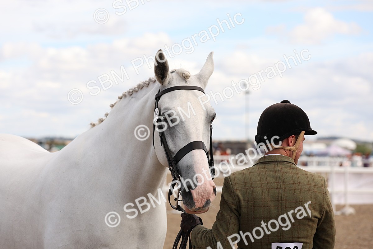SBM_14719 - Class 208 - IH Veteran Horse