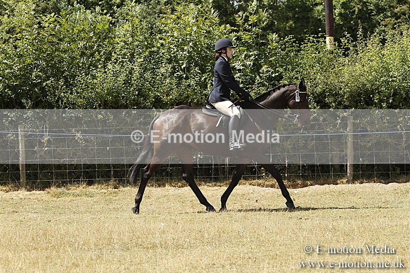 _BS_0729 - BVRC Show 2018 Ring 1