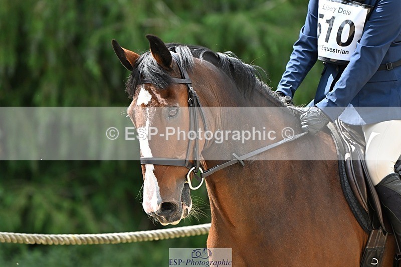 230825-124509-10336 - Round 2 11.30 to End