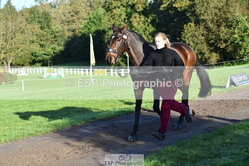 231022-092828-21814 - 685-ADRENALIN.II-Cosima.Atkinson-TrotUp+SJ