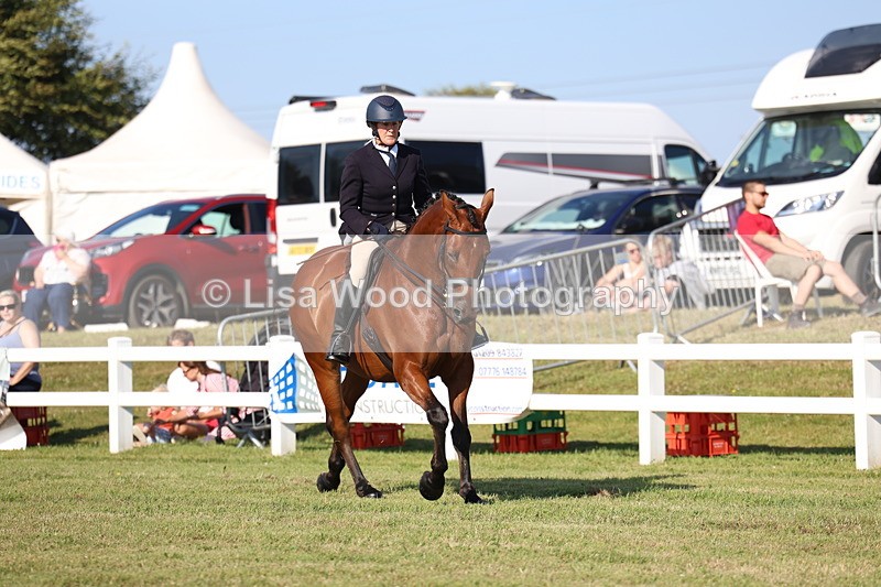 3E7A5503 - Class 2: Rising Star Large Hack/Riding Horse