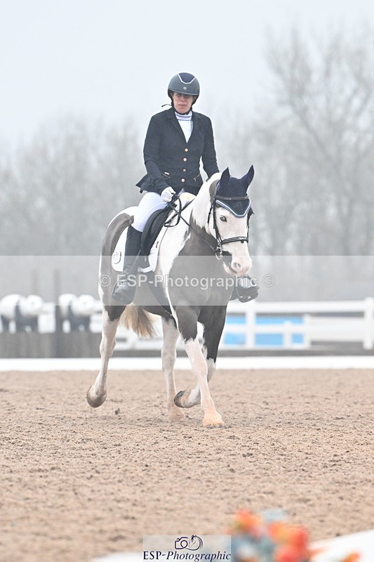 240217A-121103-02136 - 100-Gemma.Pine-Major.IV