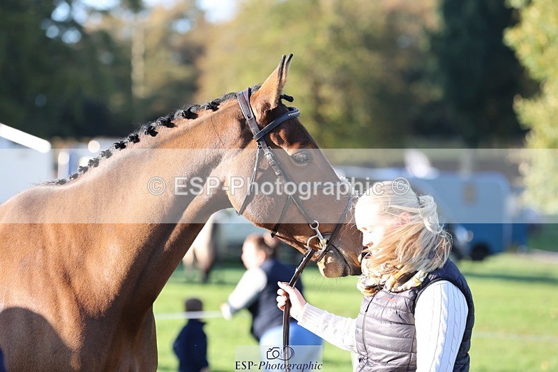 241027-085034-14843 - 359- Harriet Birkby- CBH CLOVER LINING