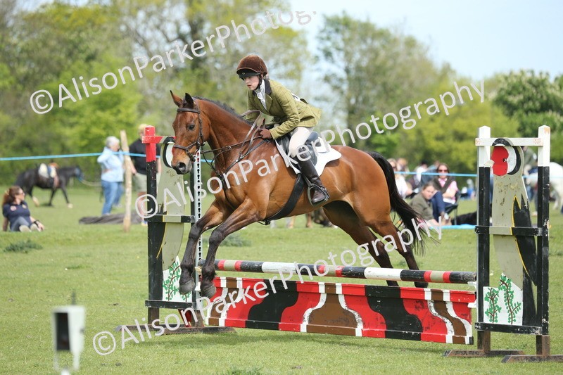 20260426-2040 - Class 15 - Absolute Novice 70cm