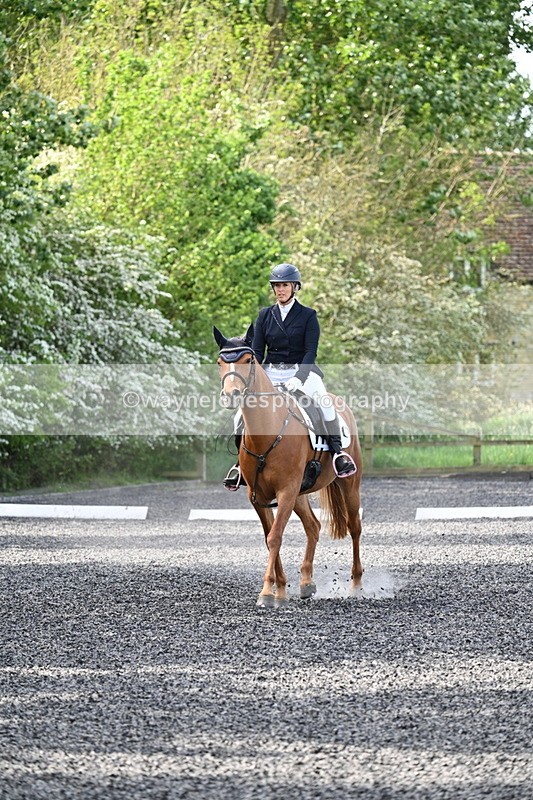 WJ7_7888 - Time 10:11 to 10:27