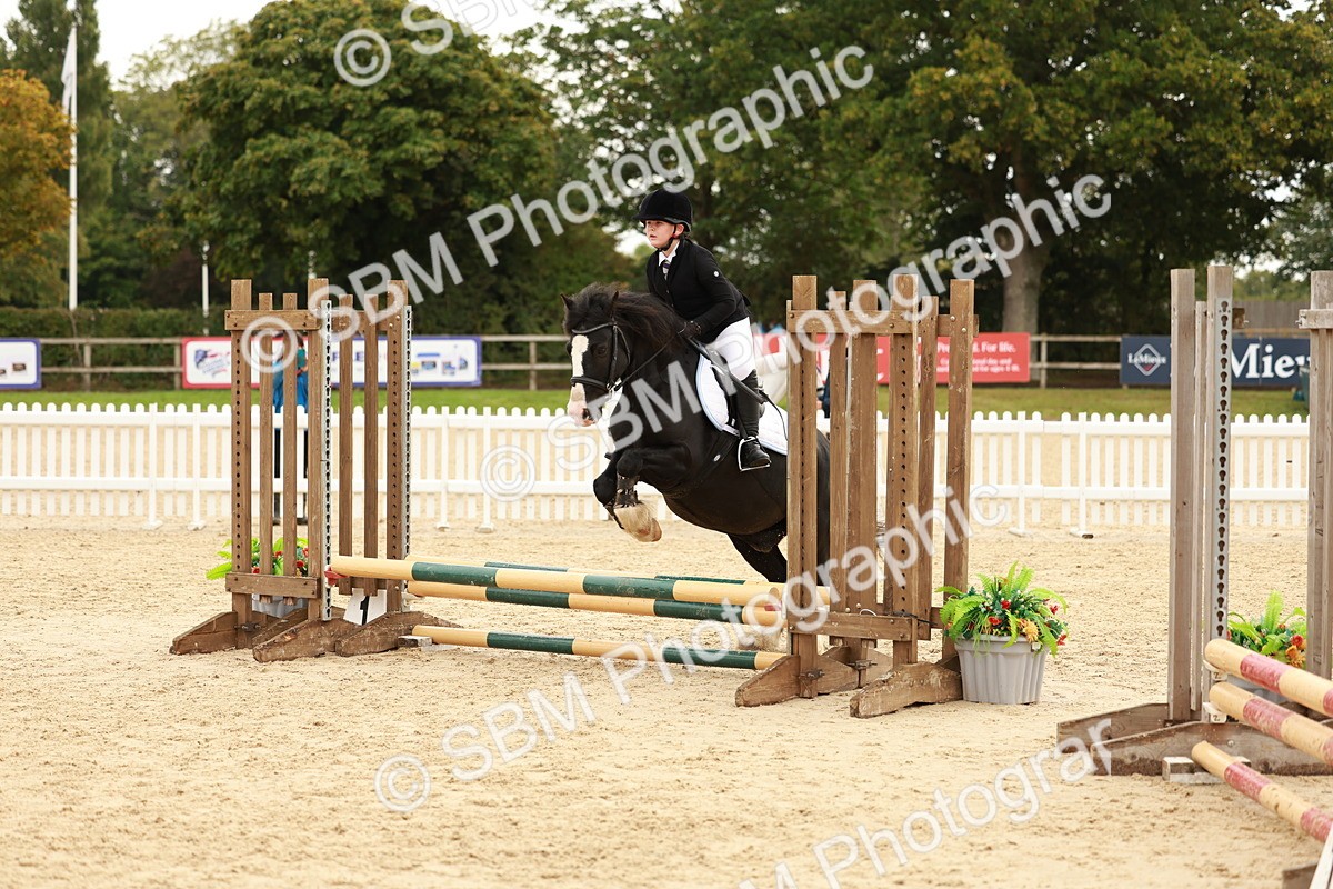 SBM_58018 - J11 - Junior Pony 50cm Championship