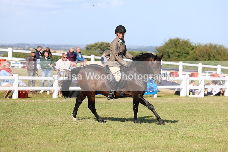 3E7A4146 - Supreme Championship