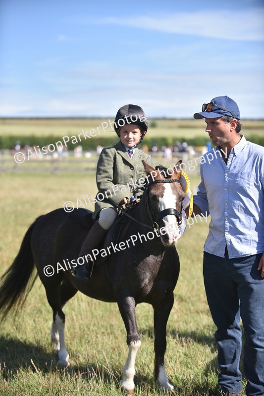 20260906-1015 - Class 7 - Absolute Novice Jumping 35cm