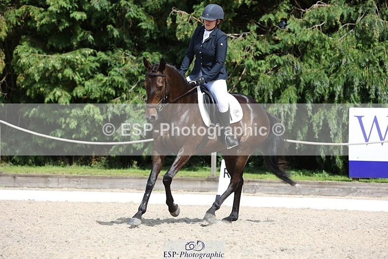 230811-151007-02385 - Cls 1 Prelim Bronze 15.00 to End