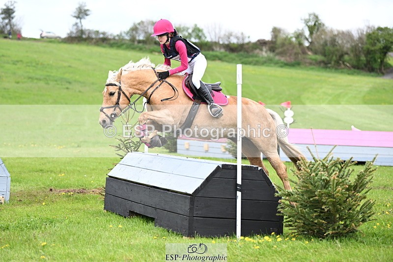 250419-151935-12673 - 766-Poppy.Hillyard-CHICA.DE.ORO