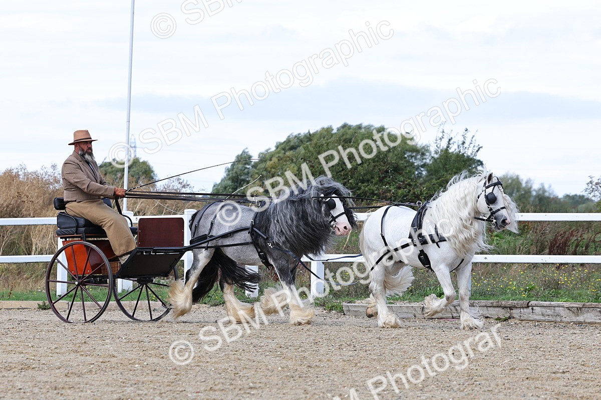 SBM_001157 - Class 16 - Pairs ,Multiples and Tandems
