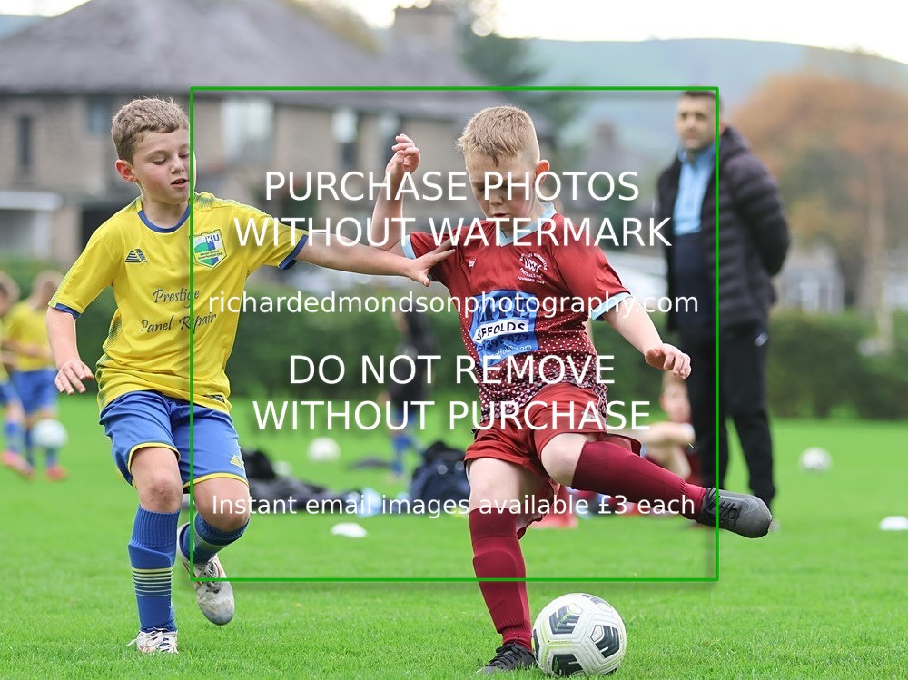 533A0217 - Kendal Utd Under 9's vs Westgate Wanderers Under 10's (19/10/25)