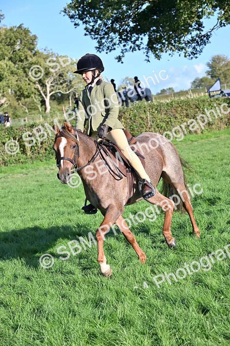 SBM_53041 - S23 - First Ridden Mountain & Moorland Pony