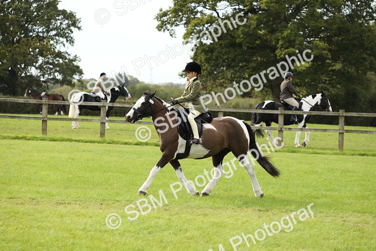 SBM_71494 - S41 - Ridden Equitation (Best Rider)