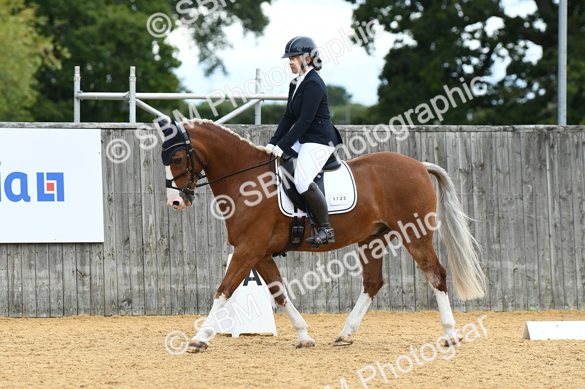 SBM_09918 - D15 Small Tour Championship Novice 24