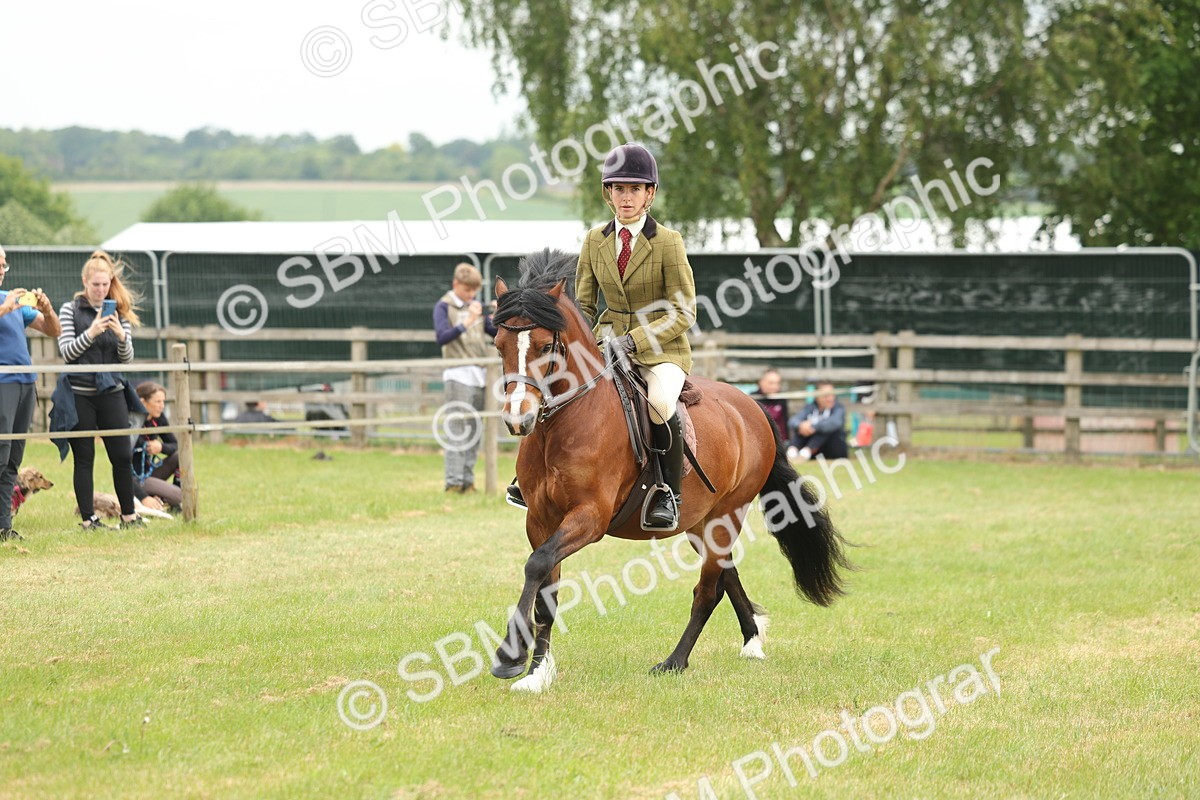 SBM_07208 - Class 76-77 - Ridden M&M Welsh Ponies