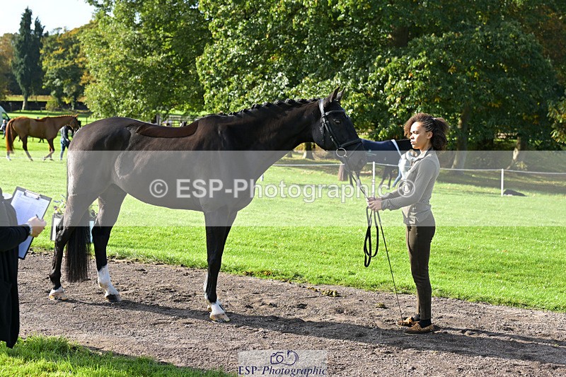 241023-130504-00057 - 052-Lydia.Heywood-JUST.THE.BISCUIT